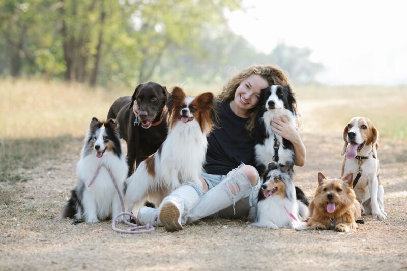 A woman sits on a dirt road surrounded by her dogs of various breeds