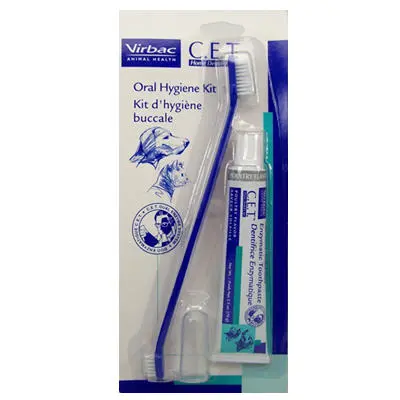 Dental Starter Kit