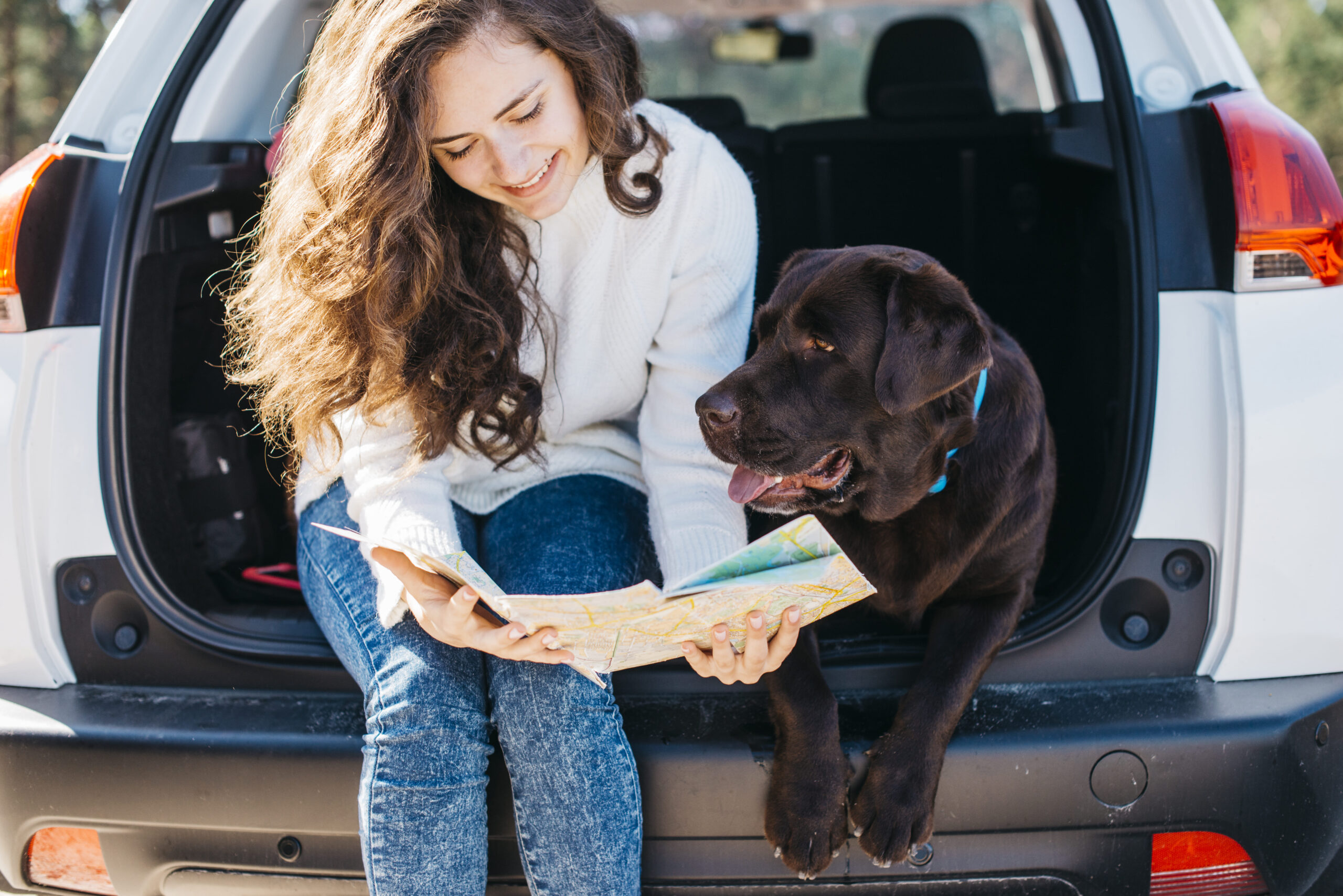 Pet Travel and Boarding: Helping Your Pet Stay Safe, Comfortable, and Stress-Free